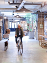 Anouk Beerents op fiets in atelier met hond en grote spiegels aan muur